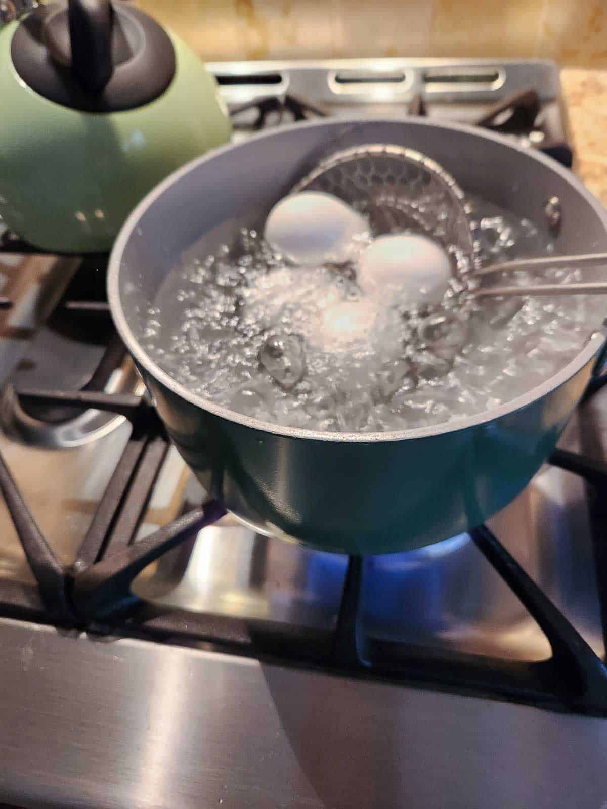 Eggs being placed in a pot of boiling water.