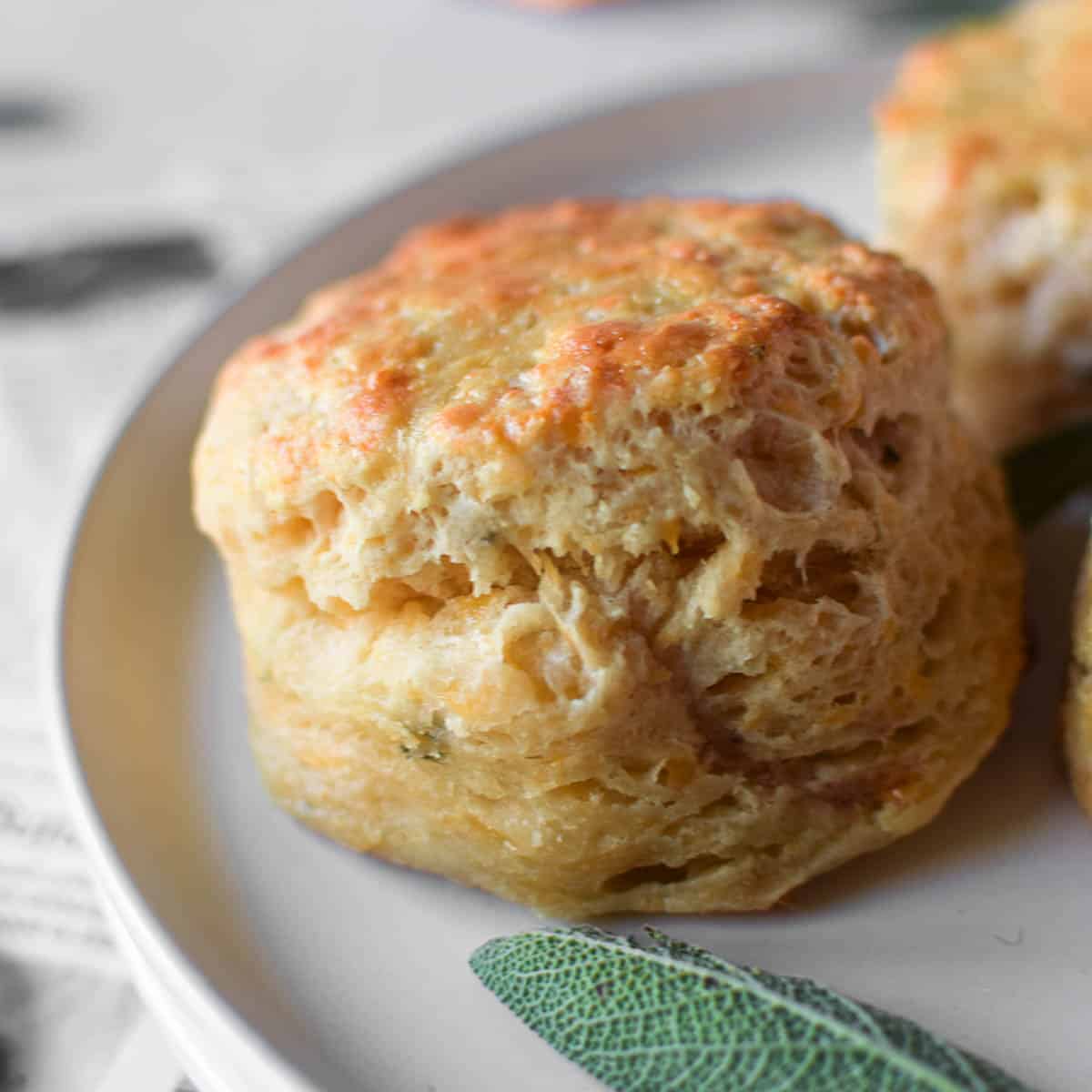 Savory Cheddar and Sage Biscuits