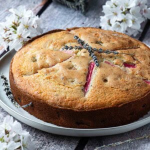 Lavender rhubarb cake on a white plate surrounded by flowers.