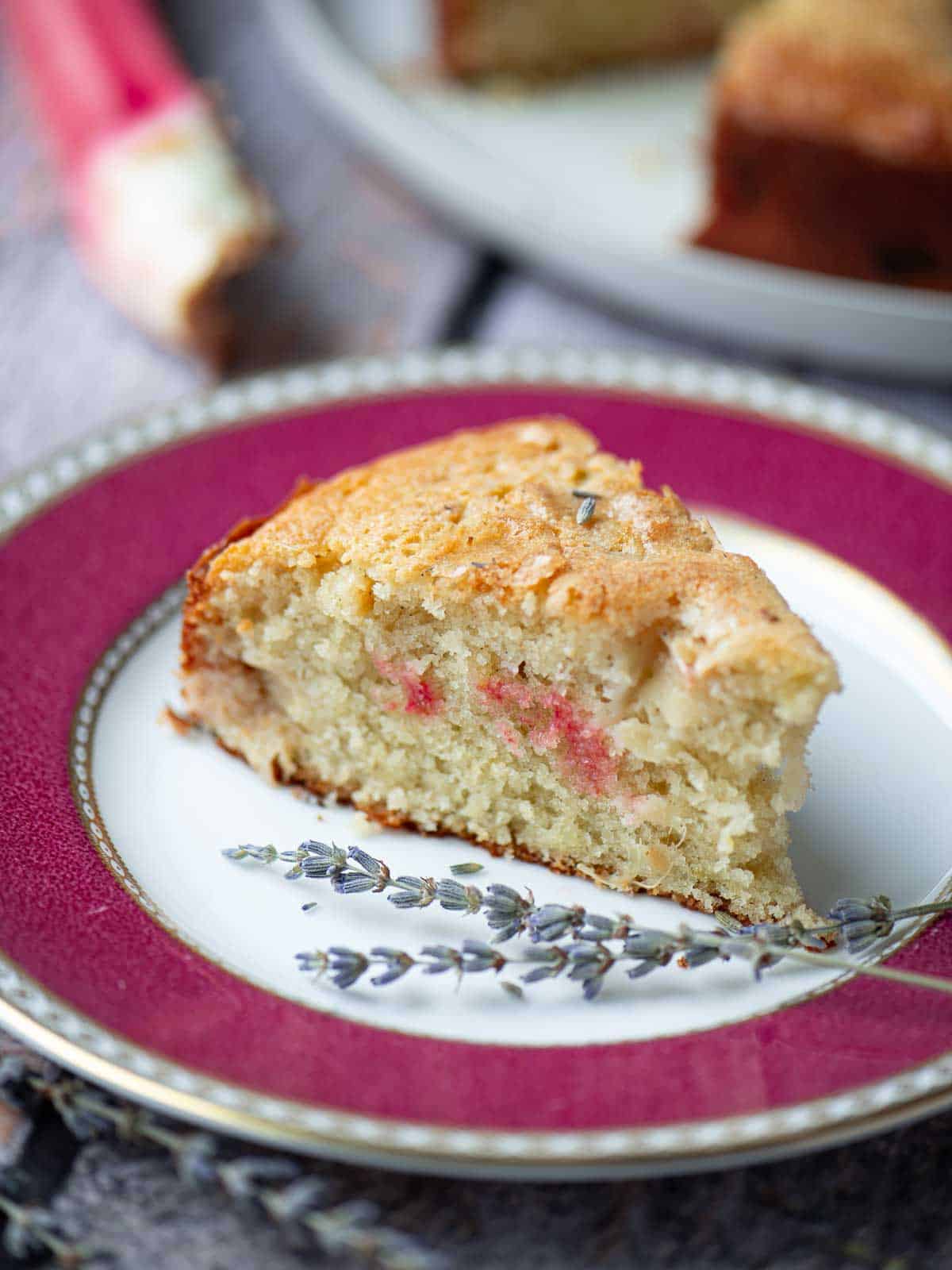 A slice of rhubarb cake on a pink plate .