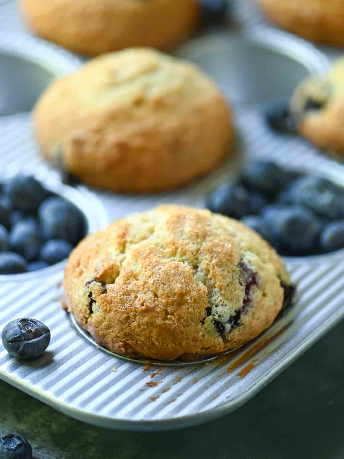 Blueberry muffins in a muffin tin shown close up.