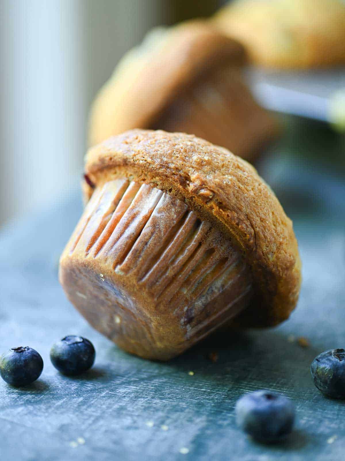 A blueberry muffin shown on its side, highlighting the domed top.
