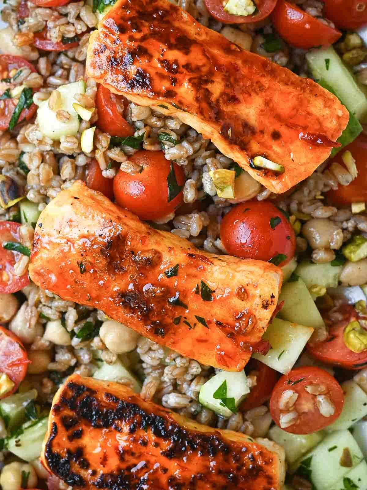 Overhead of grilled halloumi on a farro and tomato salad.