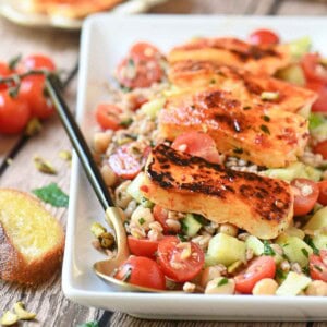 Eye level view of grilled halloumi on a farro salad in a white plate.