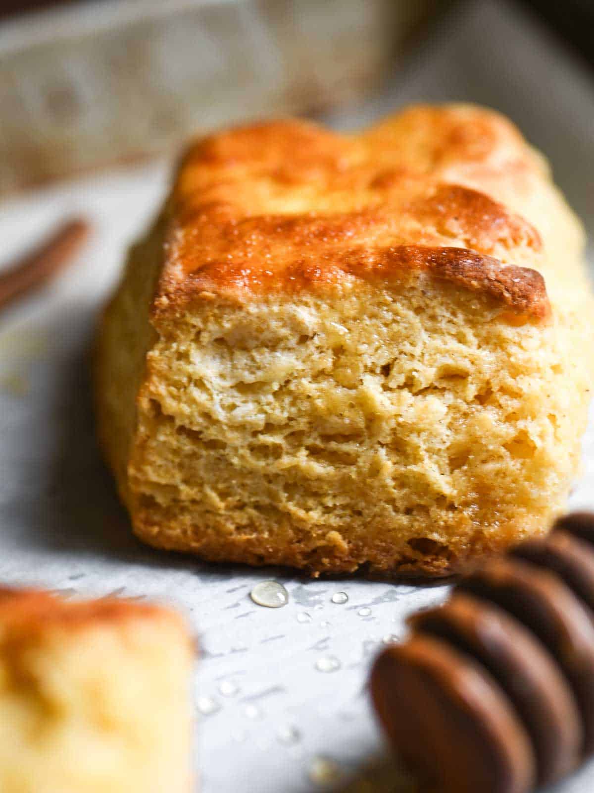 An eye-level view of a square biscuit.