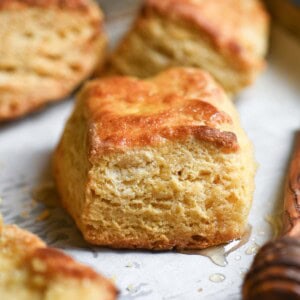 Close up of a square biscuit on parchment paper.