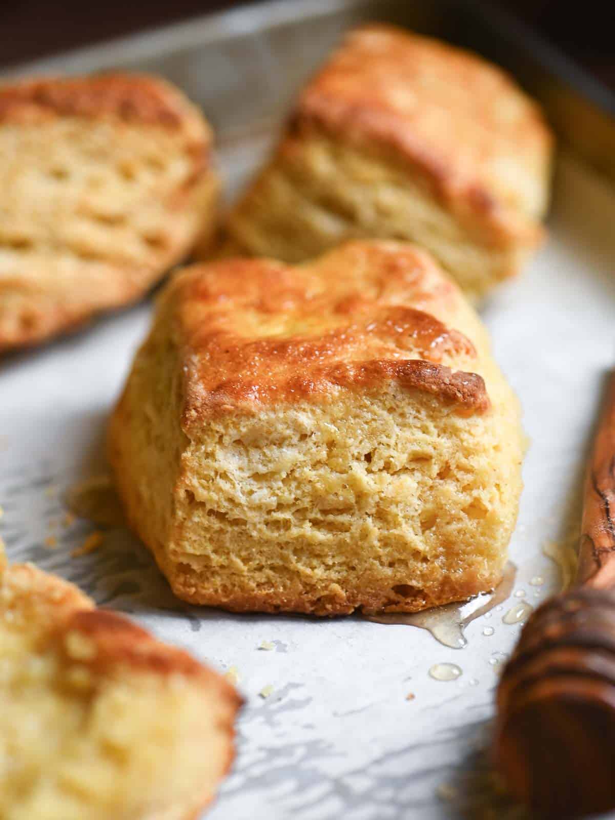 A few square biscuits on a parchment-lined baking sheet.