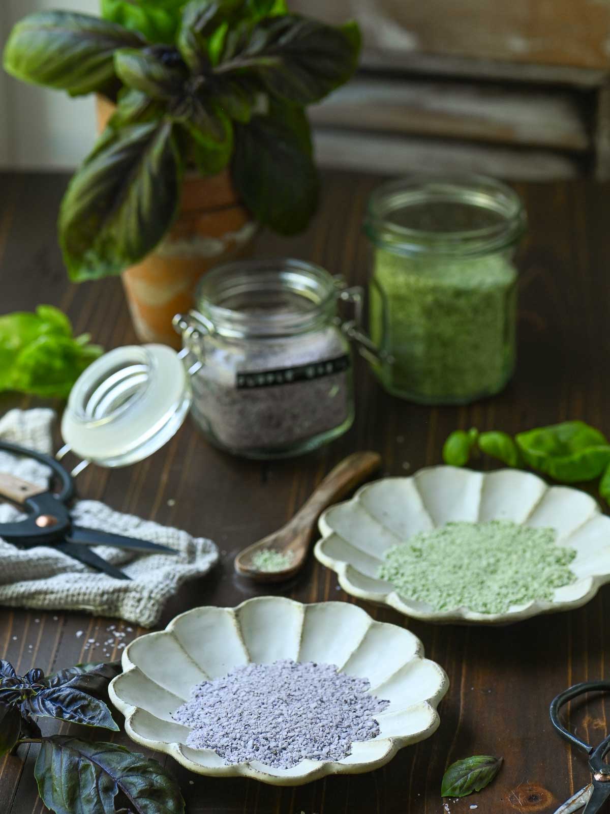 Two beige plates of purple and green basil salt on a wooden board with basil in the background.